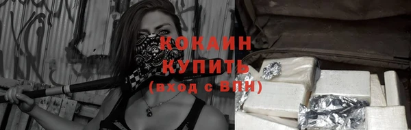 прущие грибы Костерёво