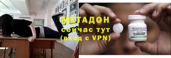 прущие грибы Костерёво