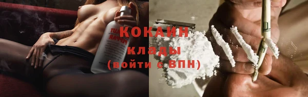 прущие грибы Костерёво