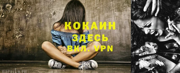 прущие грибы Костерёво