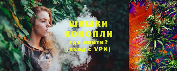 прущие грибы Костерёво