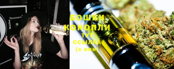 прущие грибы Костерёво