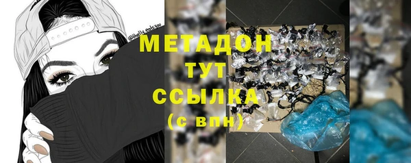прущие грибы Костерёво