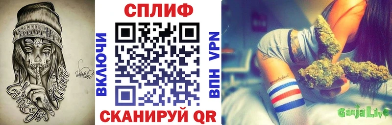 ссылка на мегу зеркало  как найти наркотики  Сорск  Бошки марихуана планчик 